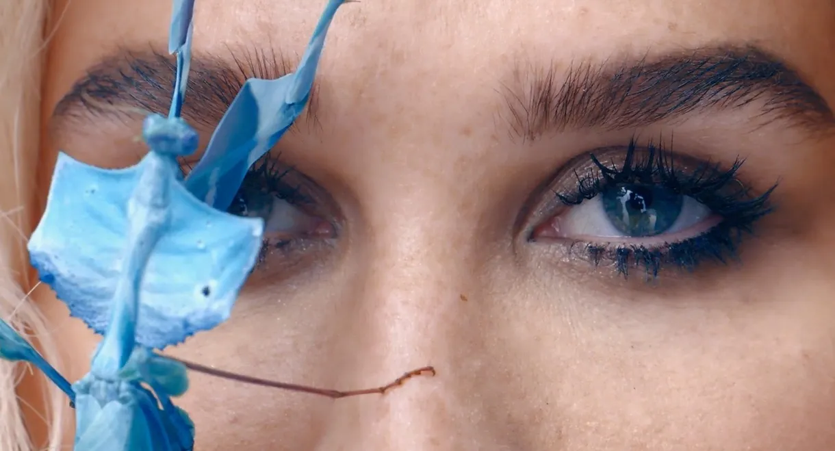 Kesha: Rainbow - The Film