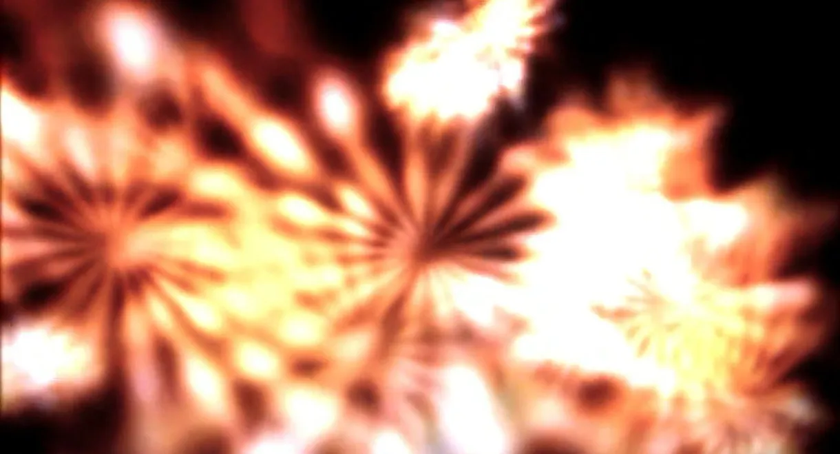 -Pursuit1.: Lui è grigio e deve nascondersi