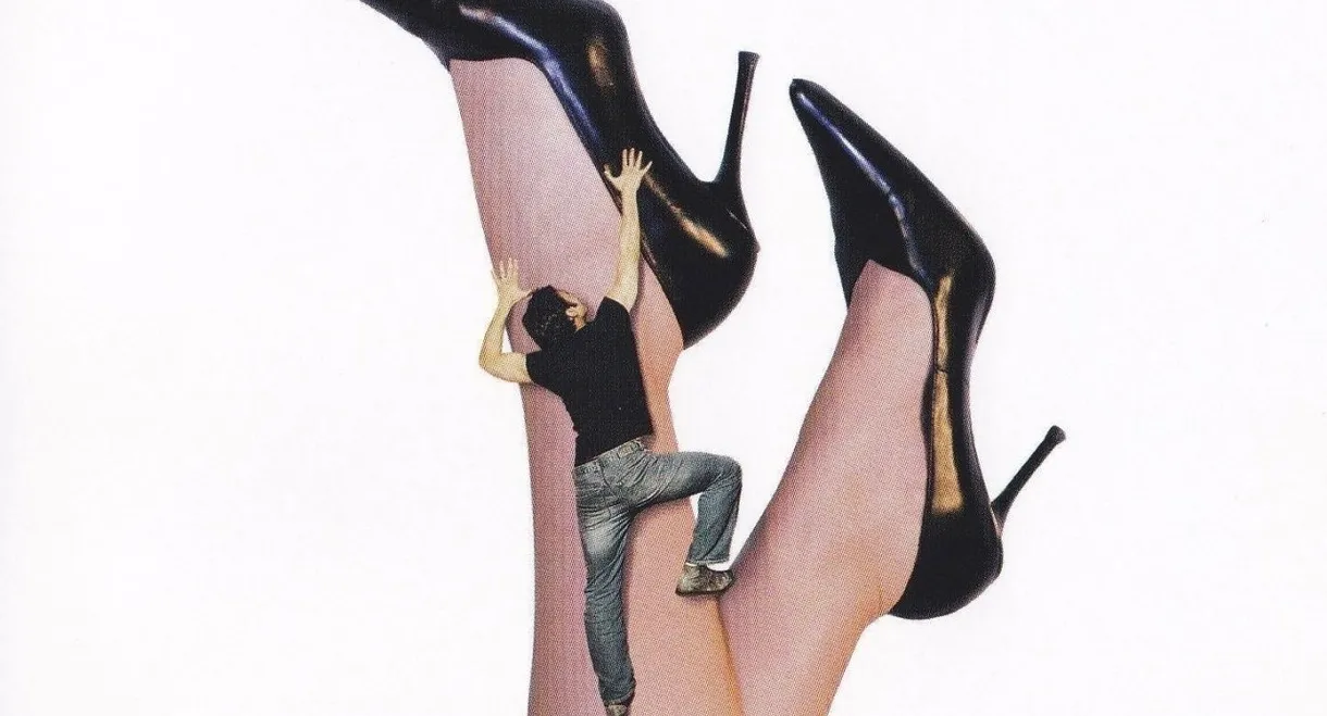 Les Amazones : 3 ans après…