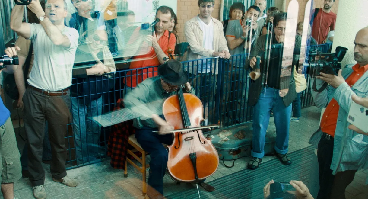 Take the Cage Train – Boletus Edulis