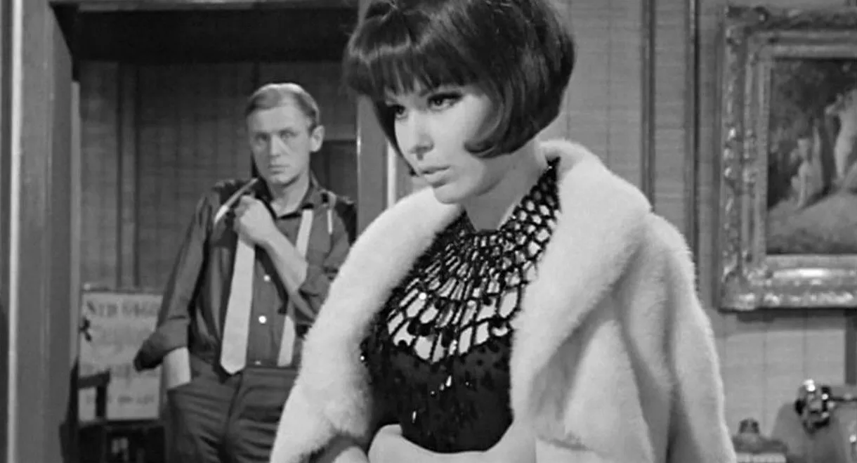 Secret of the Chinese Carnation