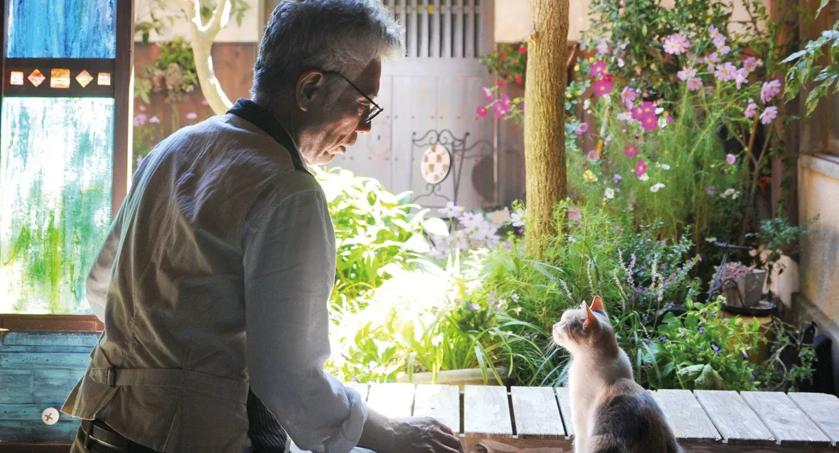 Teacher and Stray Cat