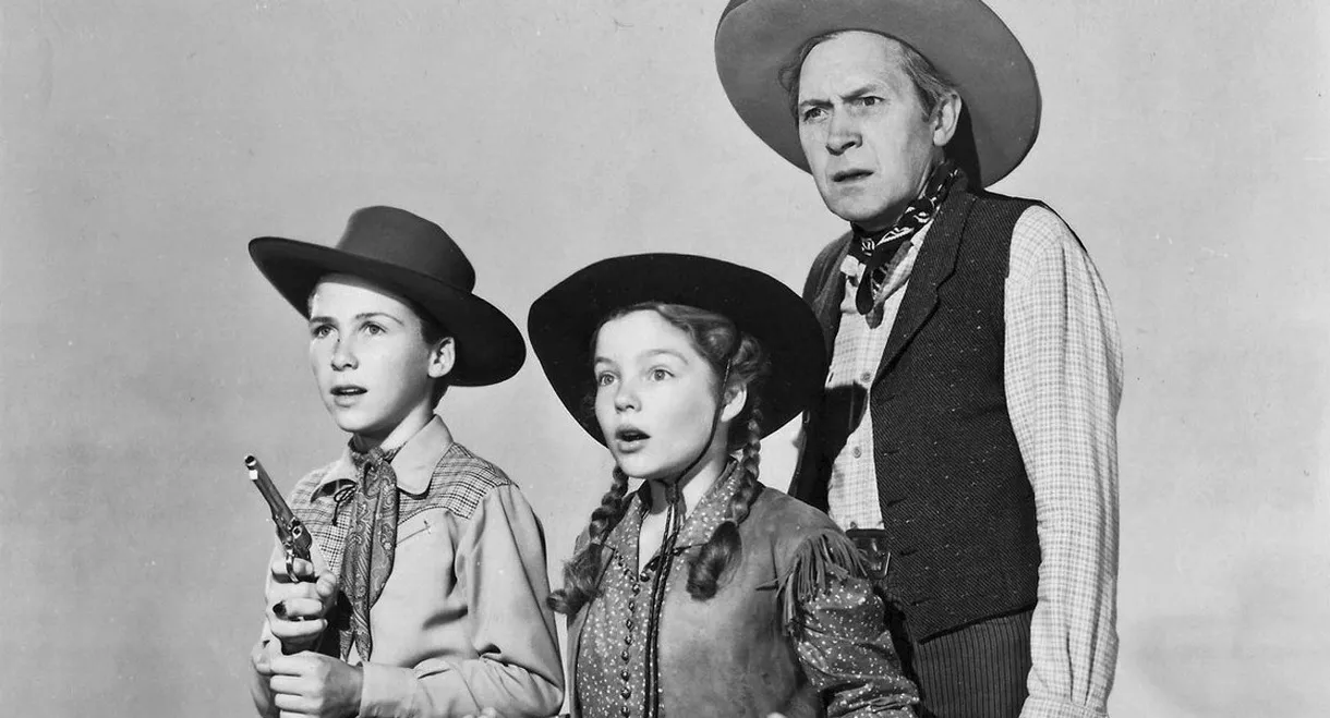 Buckaroo Sheriff of Texas