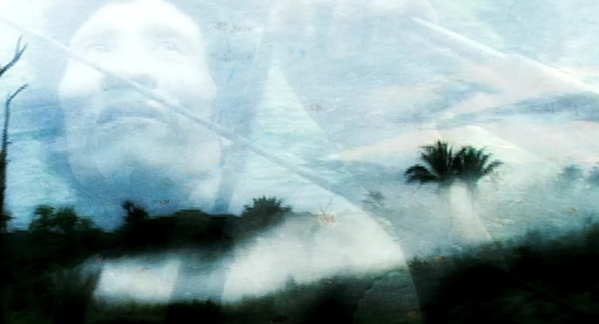 The Hills of Disorder