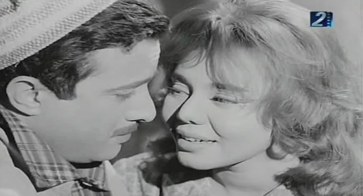 The Newspaper Seller