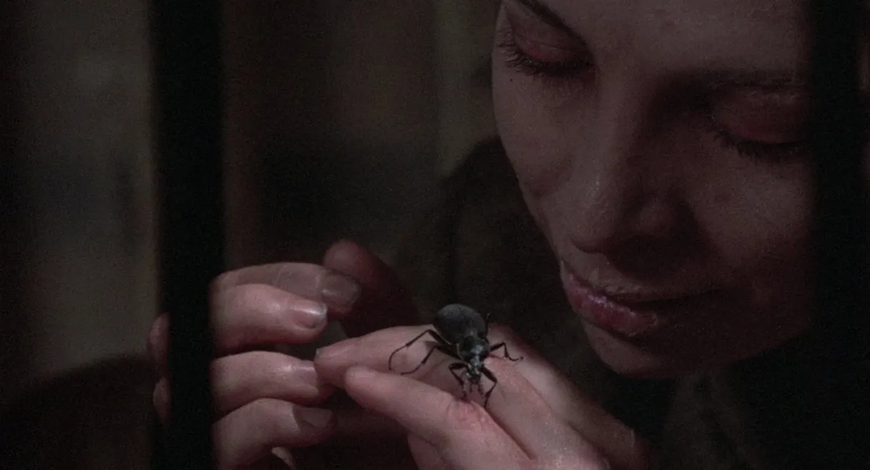 Do You Remember Love