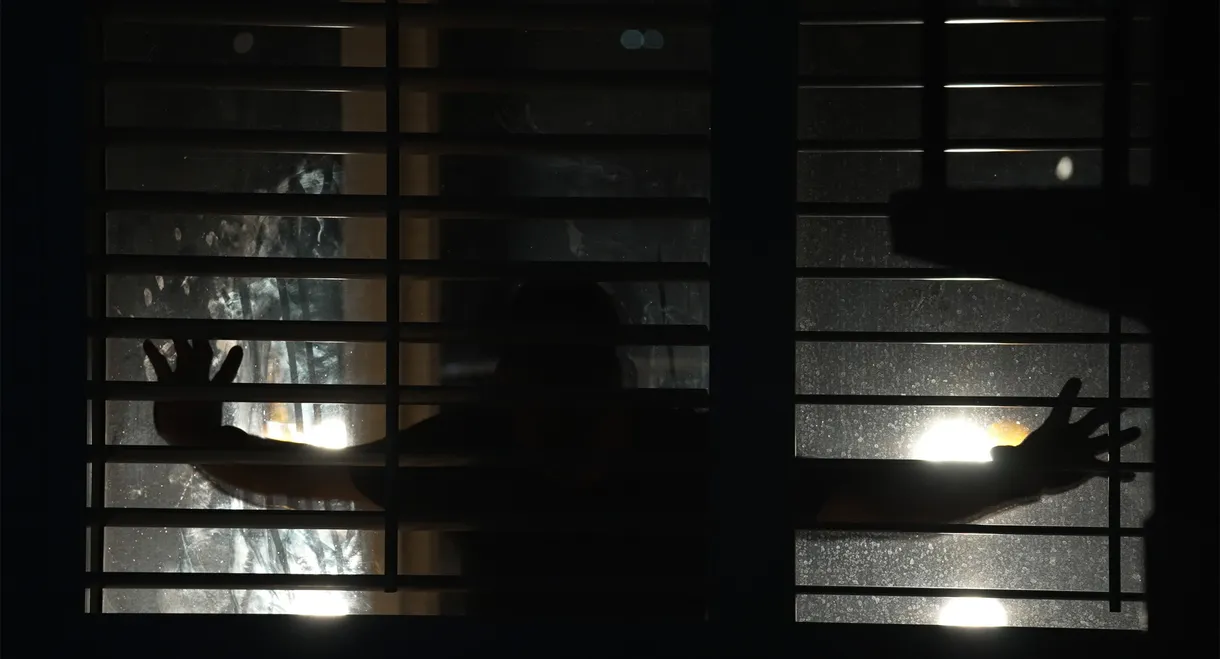 Spread: Pigs to Slaughter