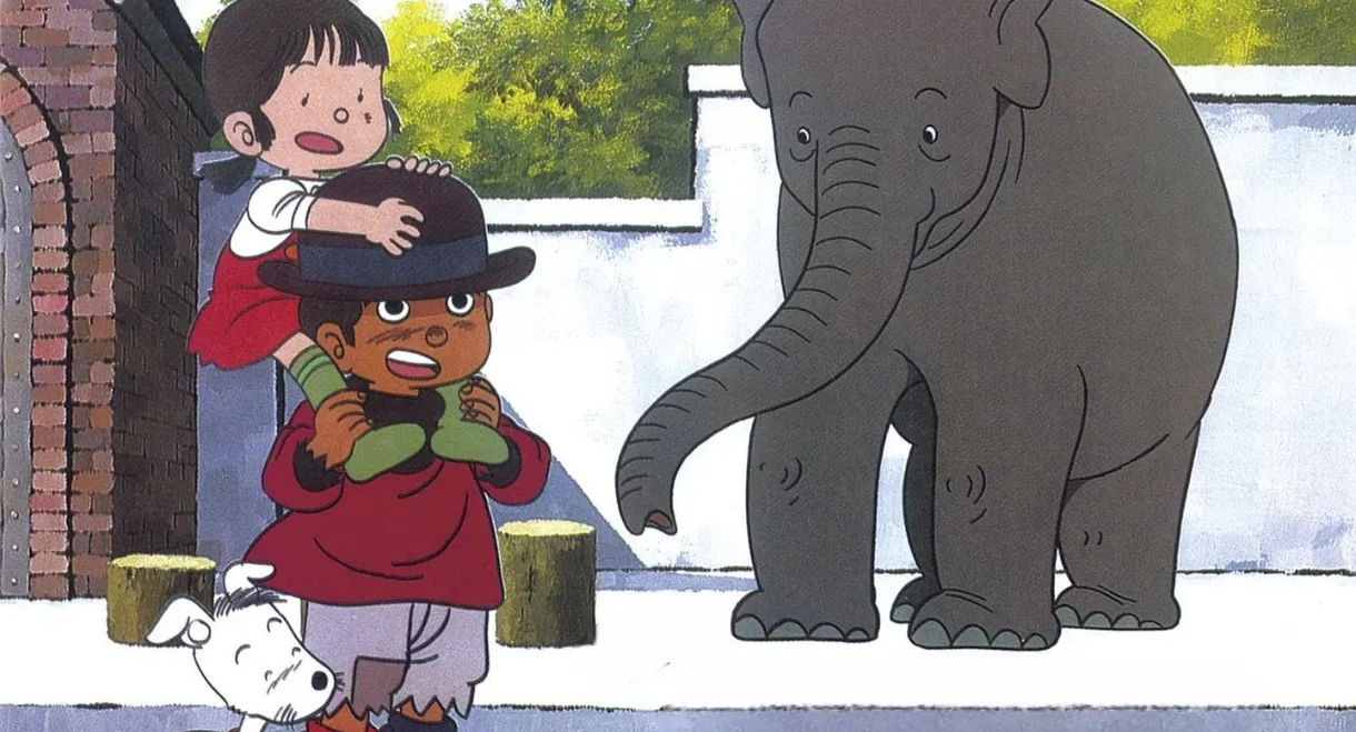 A Zoo Without an Elephant