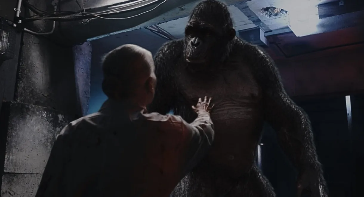 The Rise of the Beast