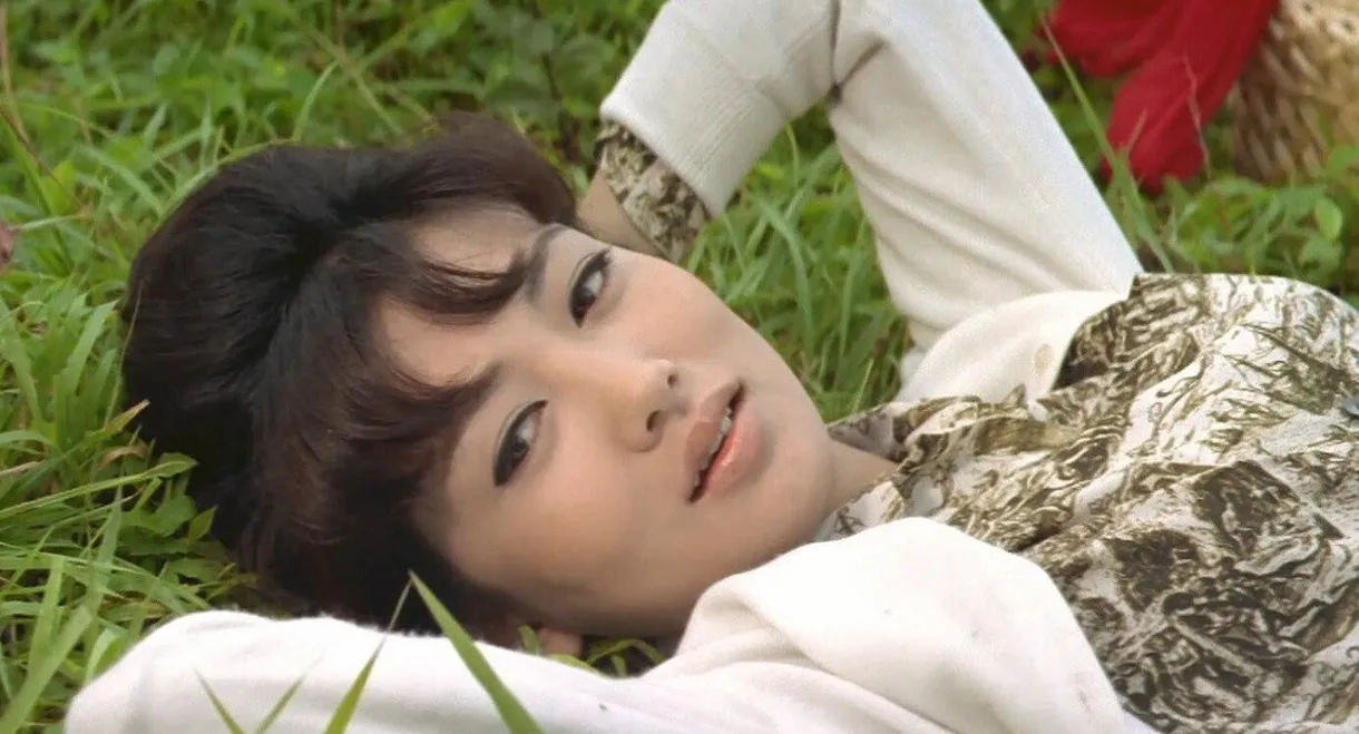 The Hill is Full of Flowers