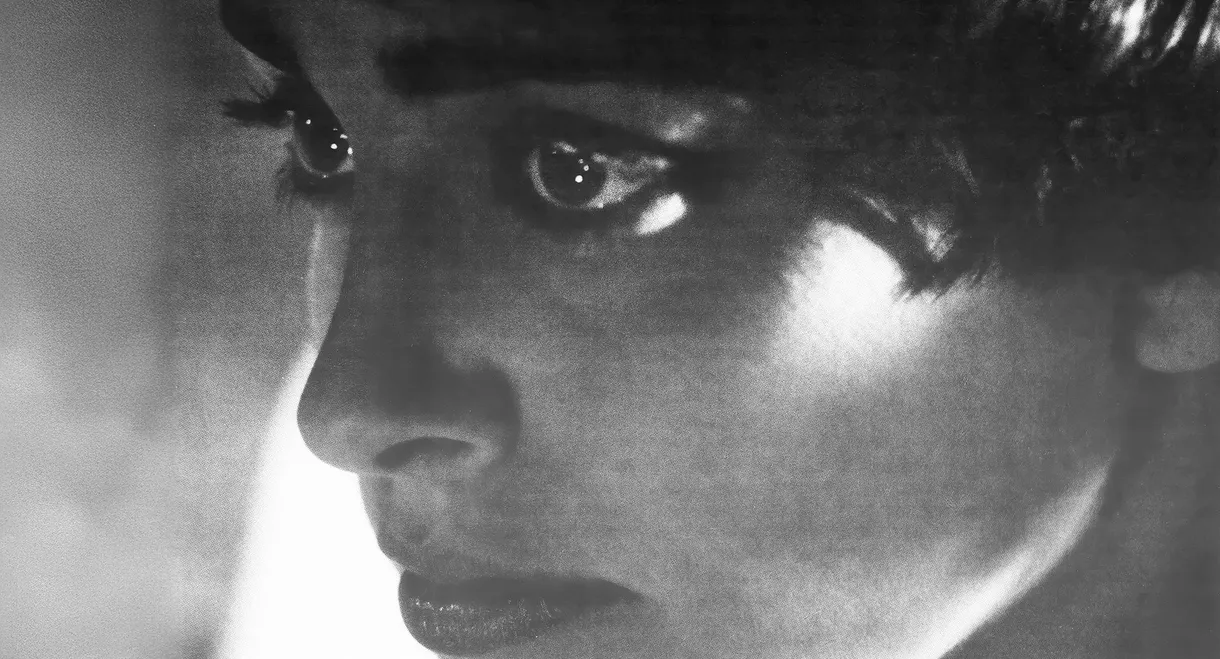 Them Public Romantics