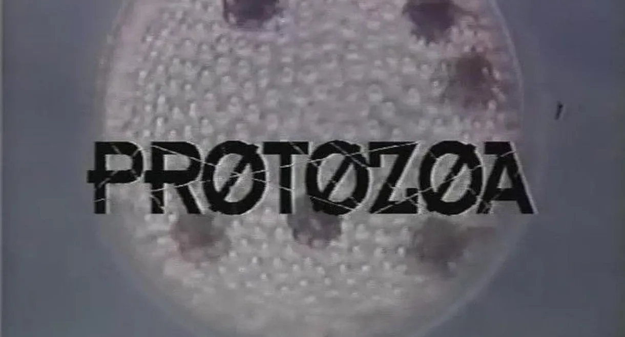 Protozoa