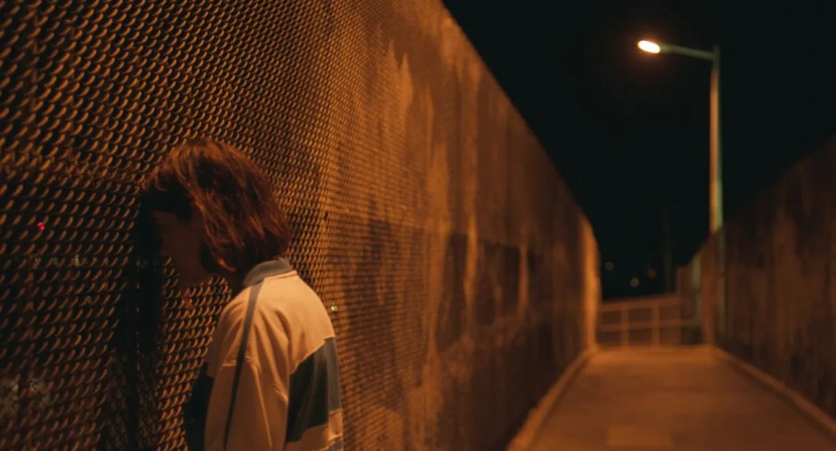 Palm Trees and Power Lines