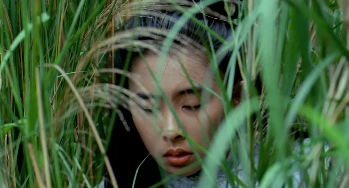 The Figures from Earth