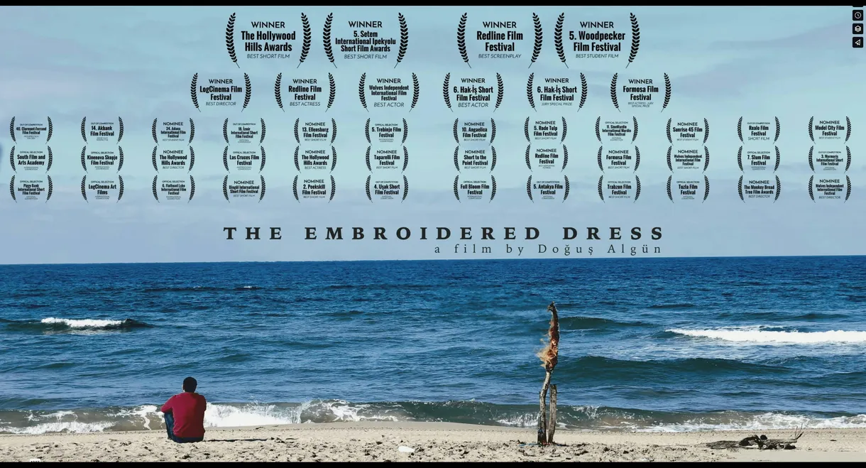 The Embroidered Dress