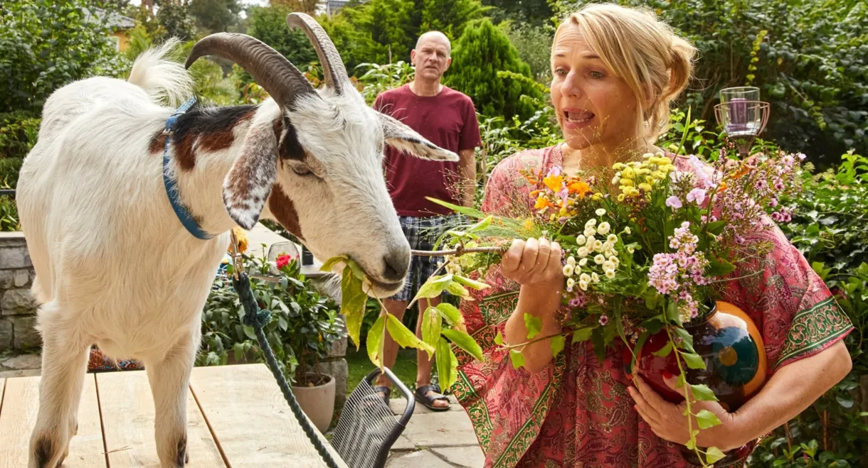 Climate Rescue for Beginners