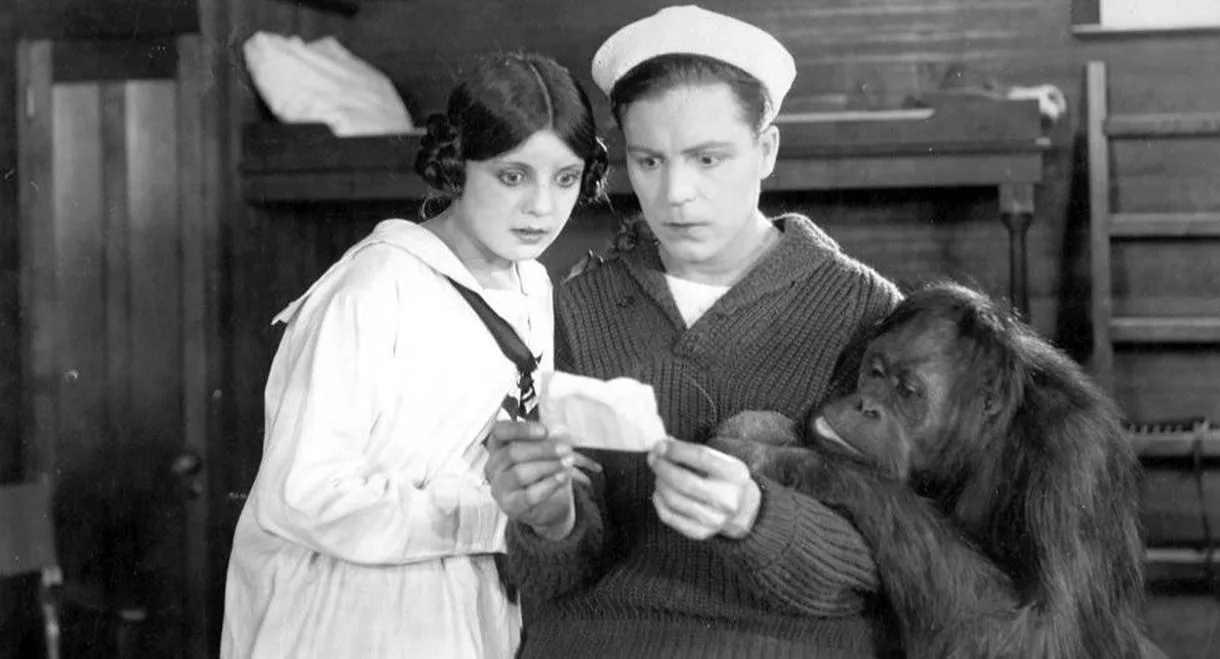 Such a Little Pirate