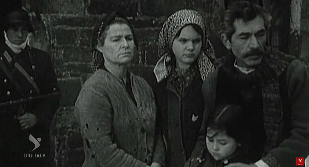 The Toast of my Wedding