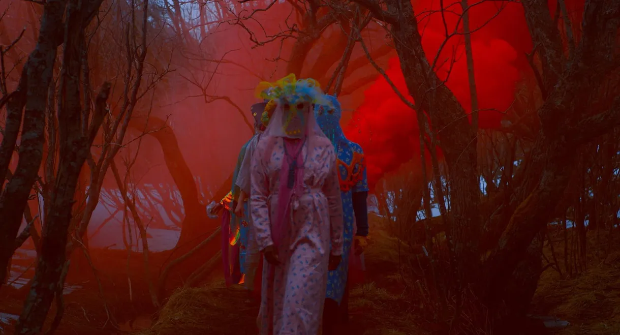 Sister, What Grows Where Land Is Sick?