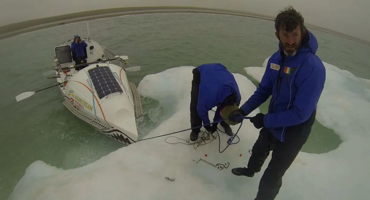 The Hand of Franklin