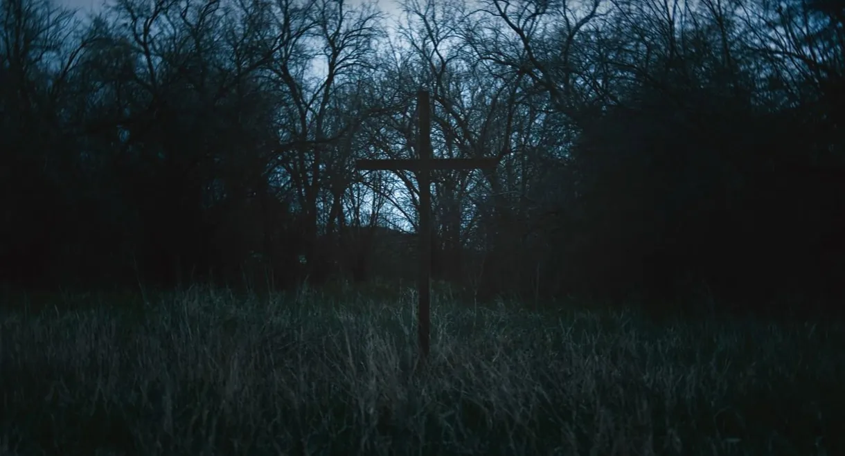 Dr. Johnson Cured My Depression