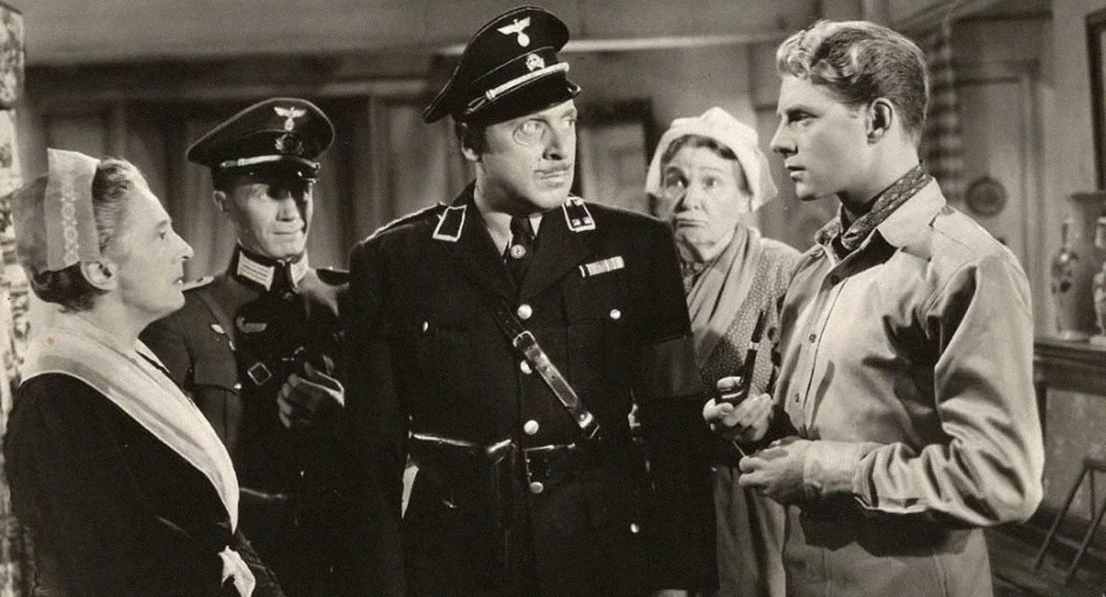 Assignment in Brittany