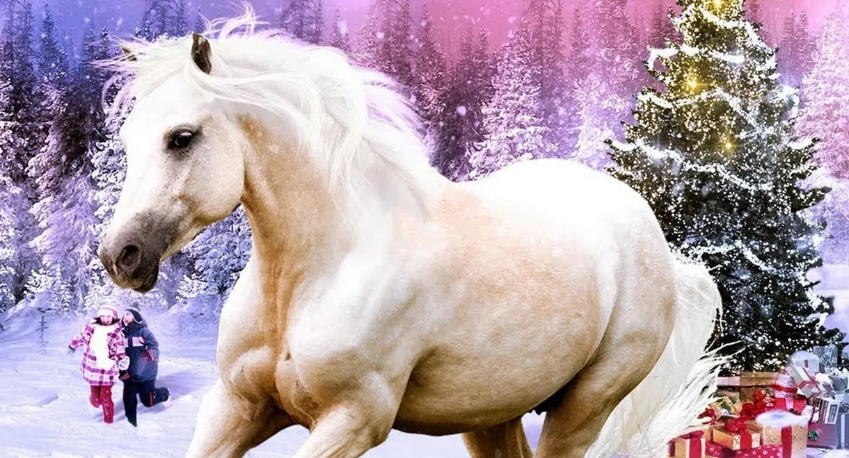 My Christmas Pony
