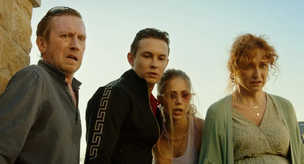 Desperate Shareholders