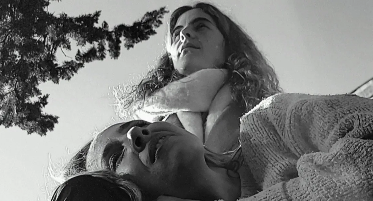 Las Flores Del Campo Santo