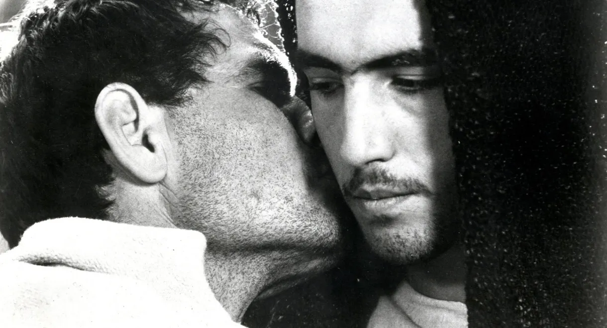 The Gospel According to St. Matthew