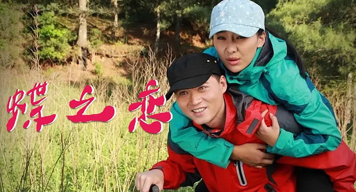 The Love out of Butterflies