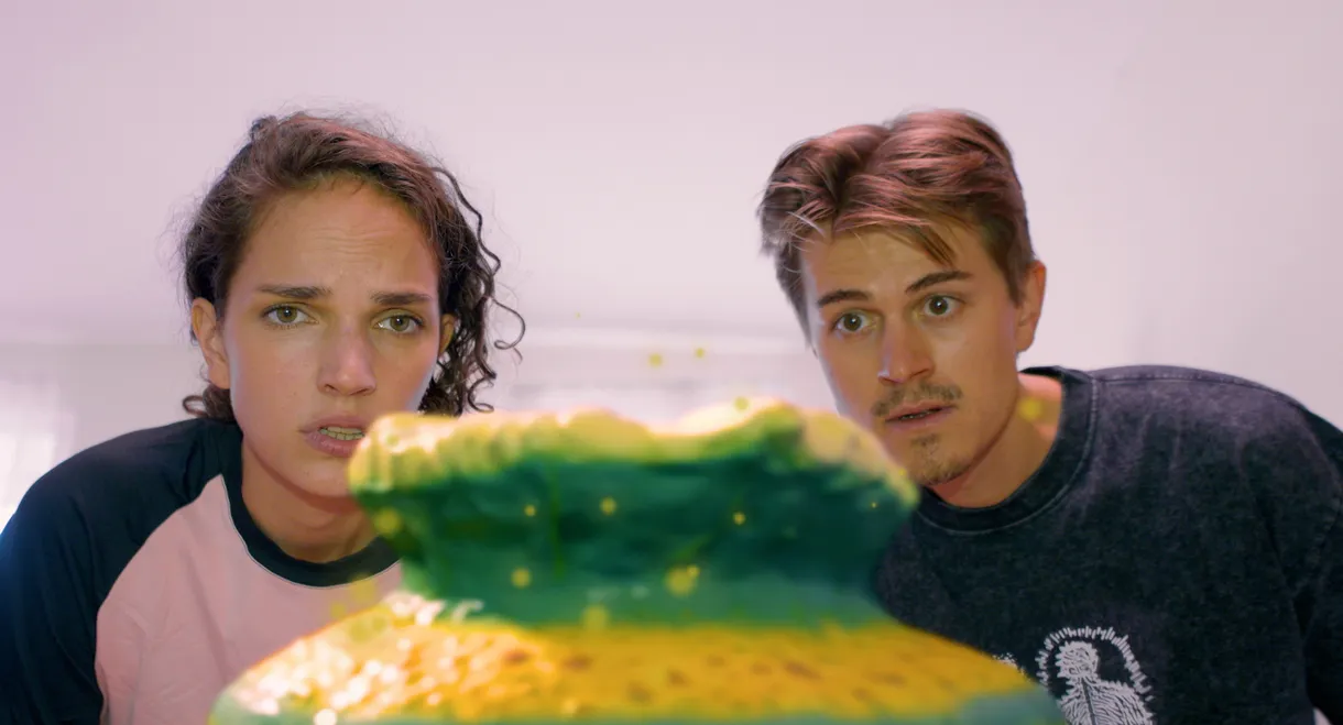 Shroomery