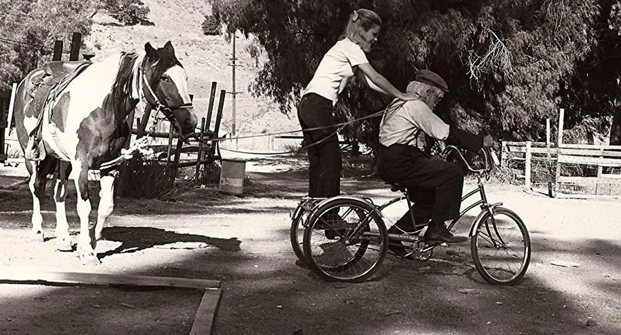 The Man from Clover Grove