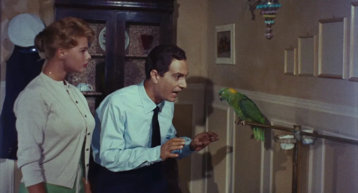 Venice, the Moon and You