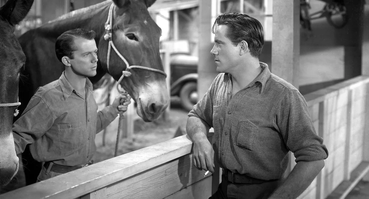 Scudda Hoo! Scudda Hay!