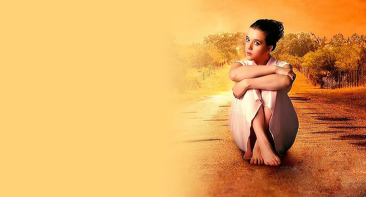 Looking for a Travel Companion