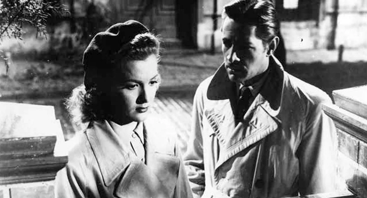 Mirad los lirios del campo