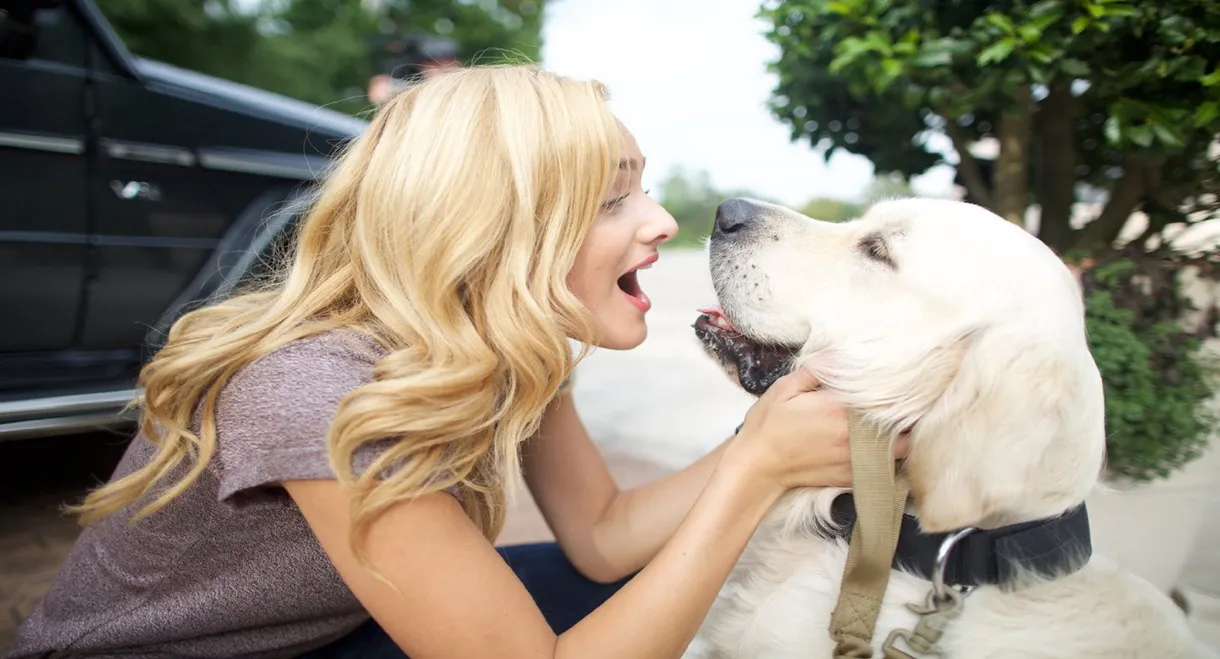 Love for All Seasons