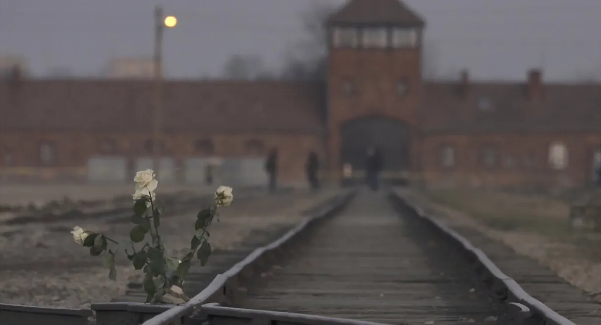 Inferno: Letters from Auschwitz