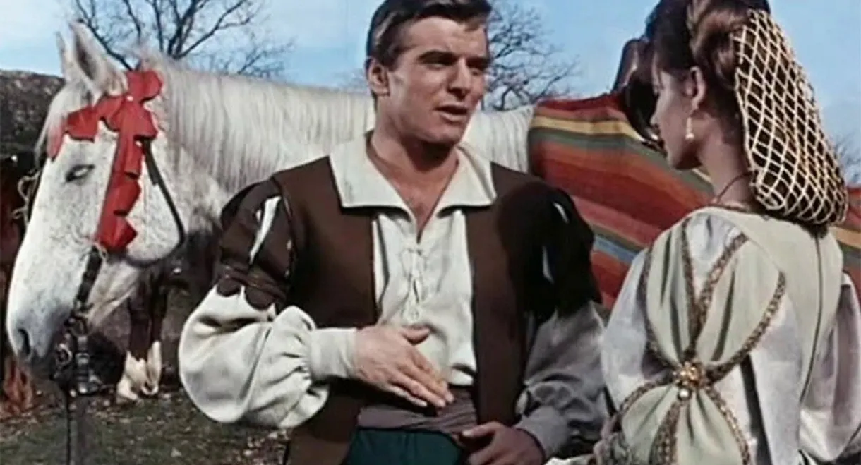 Sword in the Shadows