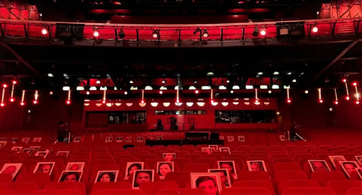 Das Kino ist tot, es lebe das Kino - Berlinale-Beobachtungen