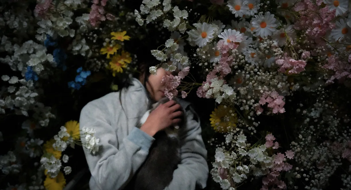 The Inception of Seeking