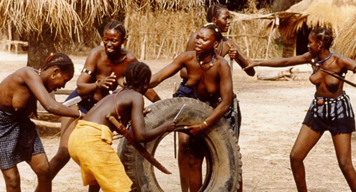 And Then There Was Light