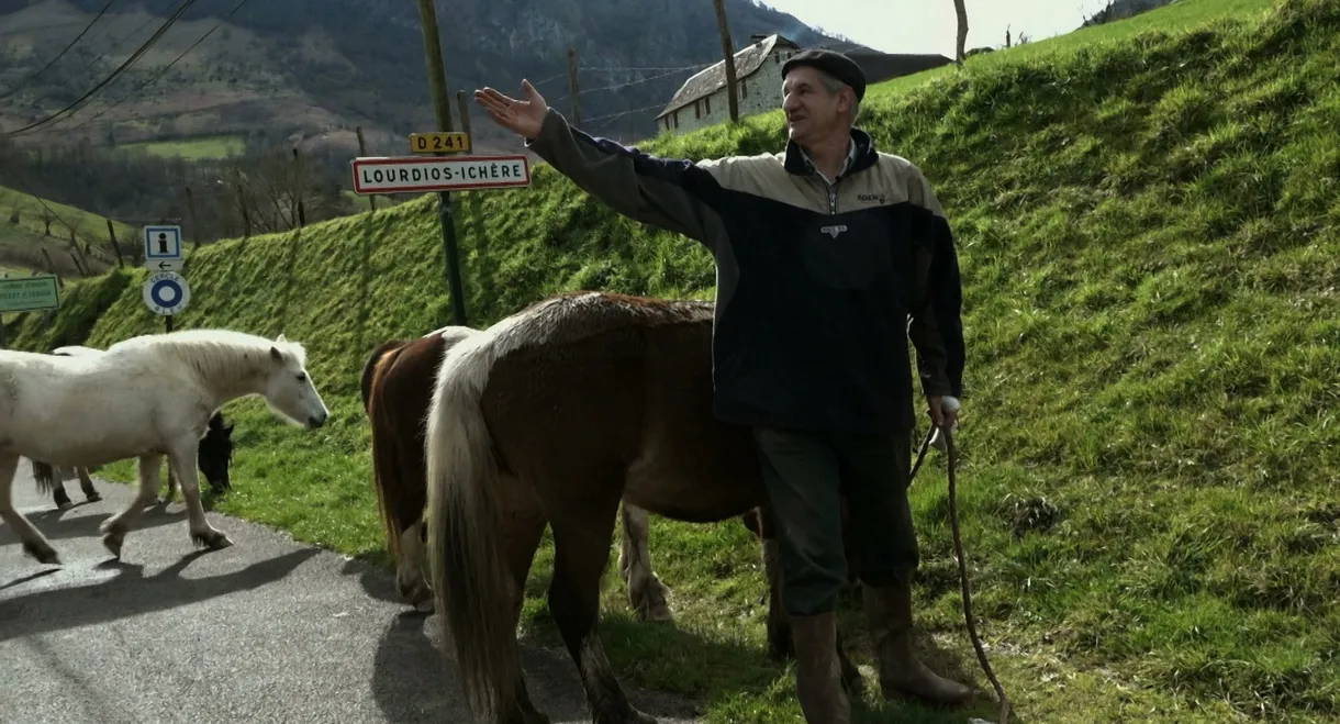 Un berger et deux perchés à l'Elysée ?