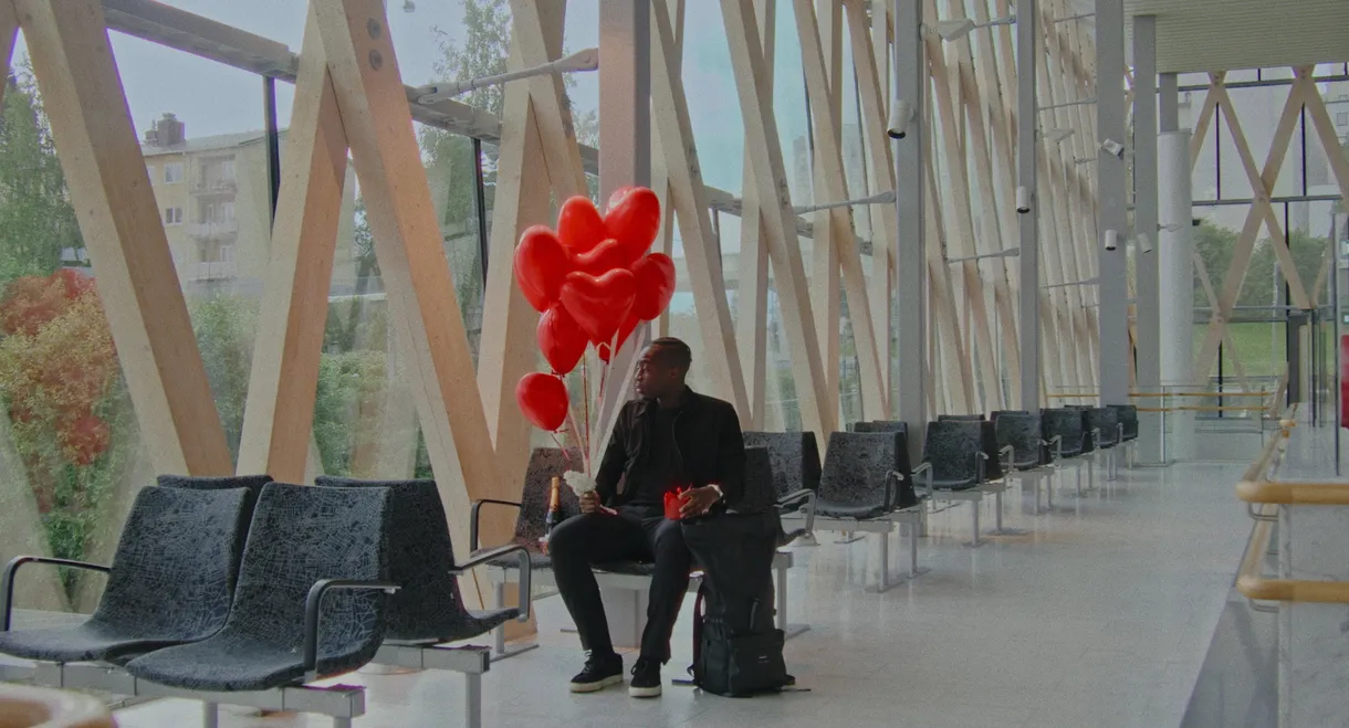 The Lonely Cougar and the Heartbroken Stud