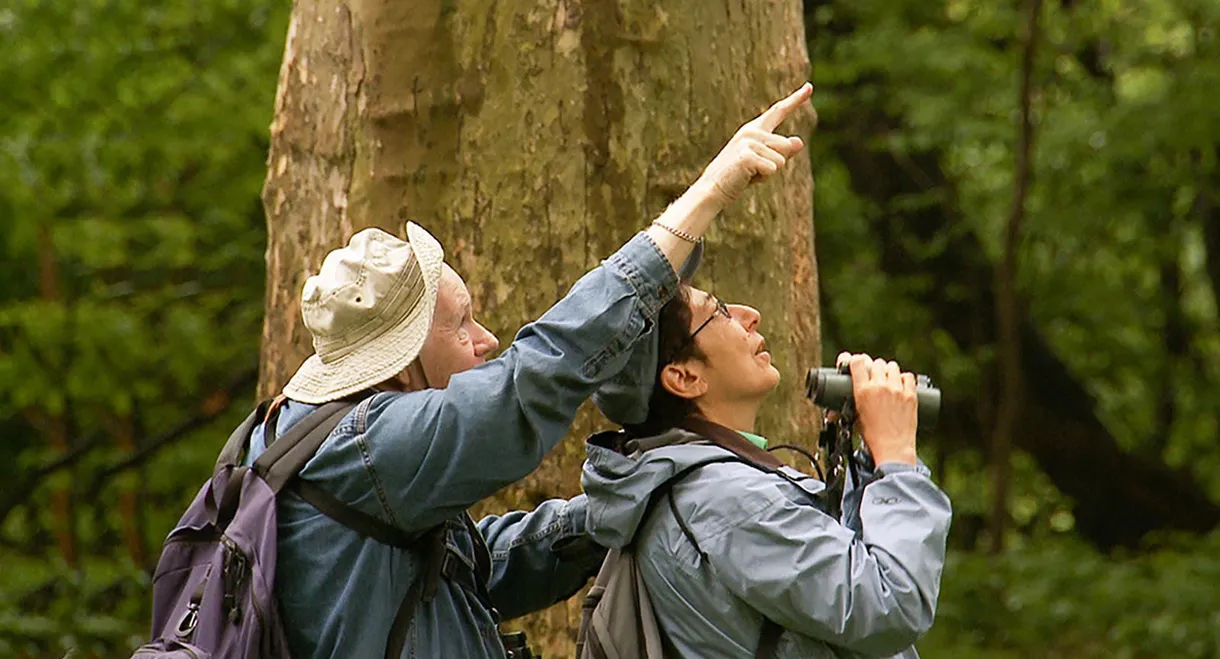 Birders: The Central Park Effect
