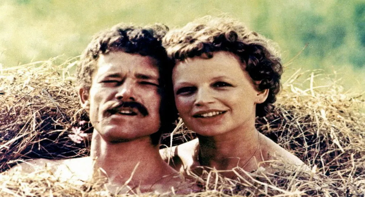 The Crazy Smell of Fresh Hay