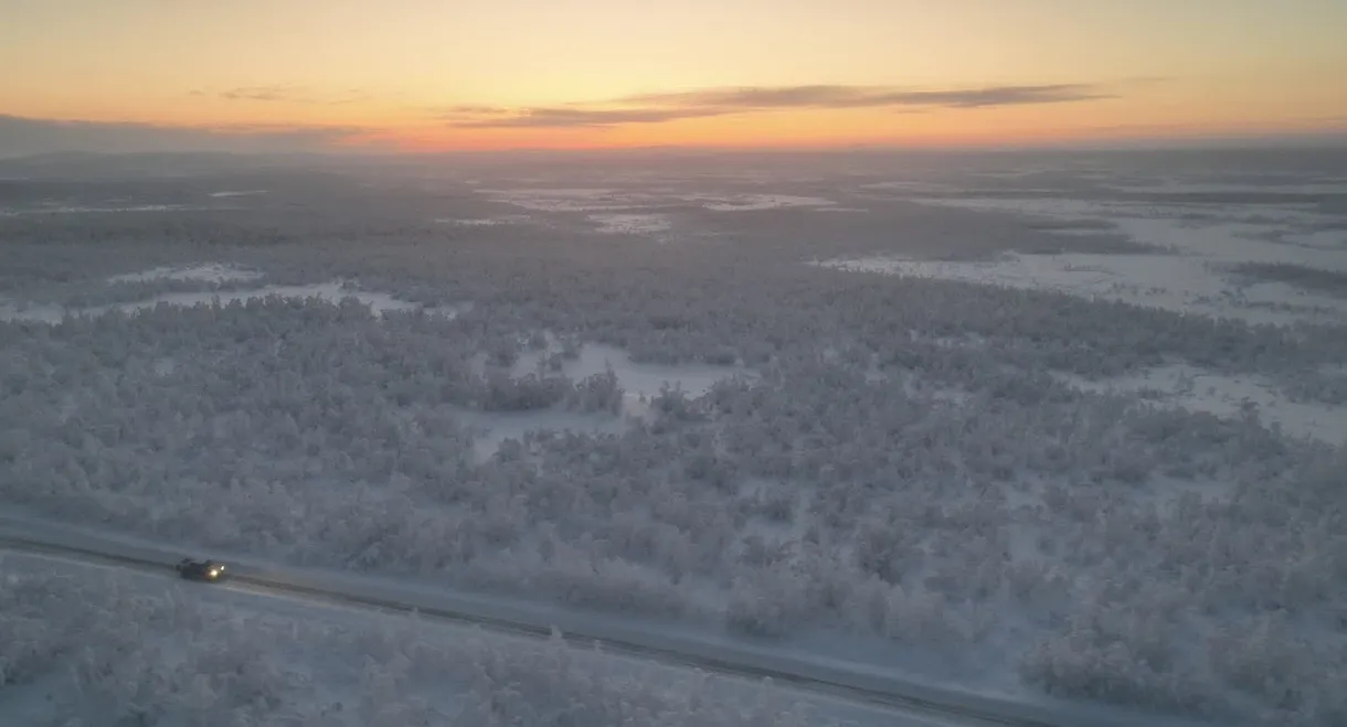 The Gold Panner from Lannavaara