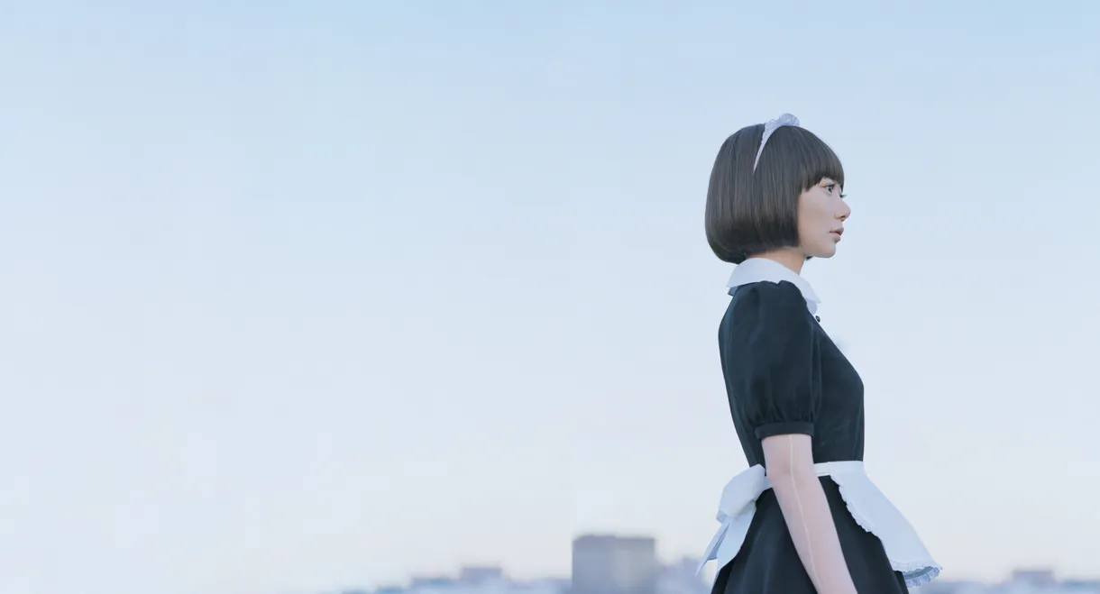 Air Doll