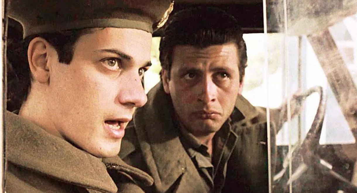 Loafing and Camouflage